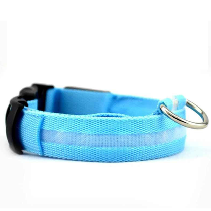 LED-Hundhalsband